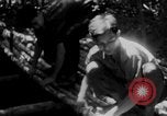 Immagine di Operazione Junction City Vietnam del Sud, 1967, secondo 16 filmato di repertorio 65675068944