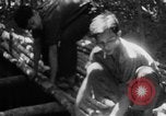 Immagine di Operazione Junction City Vietnam del Sud, 1967, secondo 18 filmato di repertorio 65675068944