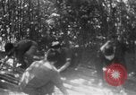 Immagine di Operazione Junction City Vietnam del Sud, 1967, secondo 22 filmato di repertorio 65675068944