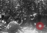 Immagine di Operazione Junction City Vietnam del Sud, 1967, secondo 23 filmato di repertorio 65675068944