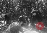 Immagine di Operazione Junction City Vietnam del Sud, 1967, secondo 25 filmato di repertorio 65675068944
