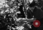Immagine di Operazione Junction City Vietnam del Sud, 1967, secondo 29 filmato di repertorio 65675068944