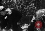 Immagine di Operazione Junction City Vietnam del Sud, 1967, secondo 30 filmato di repertorio 65675068944