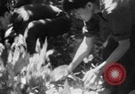 Immagine di Operazione Junction City Vietnam del Sud, 1967, secondo 35 filmato di repertorio 65675068944