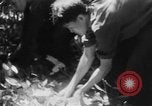 Immagine di Operazione Junction City Vietnam del Sud, 1967, secondo 37 filmato di repertorio 65675068944