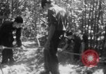 Immagine di Operazione Junction City Vietnam del Sud, 1967, secondo 39 filmato di repertorio 65675068944