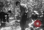 Immagine di Operazione Junction City Vietnam del Sud, 1967, secondo 40 filmato di repertorio 65675068944
