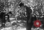 Immagine di Operazione Junction City Vietnam del Sud, 1967, secondo 42 filmato di repertorio 65675068944
