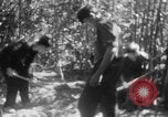 Immagine di Operazione Junction City Vietnam del Sud, 1967, secondo 43 filmato di repertorio 65675068944