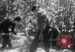Immagine di Operazione Junction City Vietnam del Sud, 1967, secondo 44 filmato di repertorio 65675068944