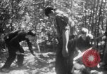 Immagine di Operazione Junction City Vietnam del Sud, 1967, secondo 45 filmato di repertorio 65675068944
