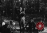 Immagine di Operazione Junction City Vietnam del Sud, 1967, secondo 12 filmato di repertorio 65675068946