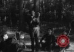 Immagine di Operazione Junction City Vietnam del Sud, 1967, secondo 13 filmato di repertorio 65675068946
