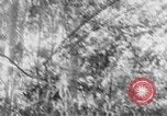Image of Operation Junction City South Vietnam, 1967, second 3 stock footage video 65675068947