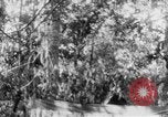 Image of Operation Junction City South Vietnam, 1967, second 4 stock footage video 65675068947