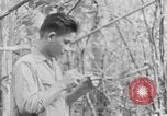 Image of Operation Junction City South Vietnam, 1967, second 13 stock footage video 65675068948