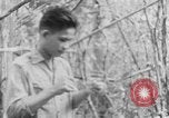 Image of Operation Junction City South Vietnam, 1967, second 14 stock footage video 65675068948
