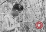 Image of Operation Junction City South Vietnam, 1967, second 15 stock footage video 65675068948