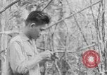 Image of Operation Junction City South Vietnam, 1967, second 16 stock footage video 65675068948