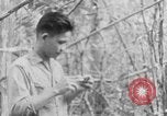Image of Operation Junction City South Vietnam, 1967, second 17 stock footage video 65675068948