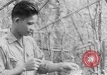 Image of Operation Junction City South Vietnam, 1967, second 18 stock footage video 65675068948