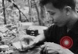 Image of Operation Junction City South Vietnam, 1967, second 35 stock footage video 65675068948