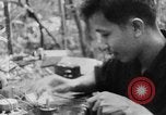 Image of Operation Junction City South Vietnam, 1967, second 36 stock footage video 65675068948