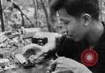 Image of Operation Junction City South Vietnam, 1967, second 37 stock footage video 65675068948