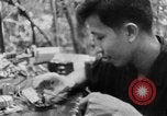Image of Operation Junction City South Vietnam, 1967, second 38 stock footage video 65675068948