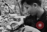 Image of Operation Junction City South Vietnam, 1967, second 39 stock footage video 65675068948