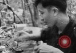 Image of Operation Junction City South Vietnam, 1967, second 40 stock footage video 65675068948