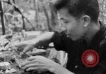 Image of Operation Junction City South Vietnam, 1967, second 46 stock footage video 65675068948