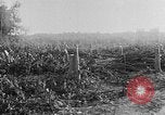 Image of Operation Junction City South Vietnam, 1967, second 6 stock footage video 65675068950