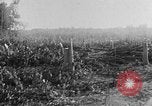 Image of Operation Junction City South Vietnam, 1967, second 7 stock footage video 65675068950