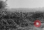 Image of Operation Junction City South Vietnam, 1967, second 8 stock footage video 65675068950