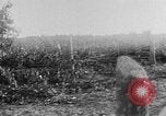 Image of Operation Junction City South Vietnam, 1967, second 11 stock footage video 65675068950