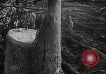 Image of Operation Junction City South Vietnam, 1967, second 19 stock footage video 65675068950