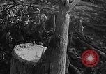 Image of Operation Junction City South Vietnam, 1967, second 20 stock footage video 65675068950