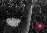 Image of Operation Junction City South Vietnam, 1967, second 21 stock footage video 65675068950