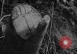 Image of Operation Junction City South Vietnam, 1967, second 22 stock footage video 65675068950