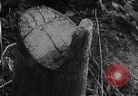 Image of Operation Junction City South Vietnam, 1967, second 24 stock footage video 65675068950
