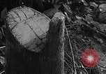 Image of Operation Junction City South Vietnam, 1967, second 25 stock footage video 65675068950