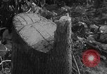 Image of Operation Junction City South Vietnam, 1967, second 26 stock footage video 65675068950