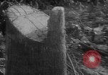 Image of Operation Junction City South Vietnam, 1967, second 27 stock footage video 65675068950