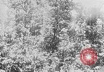 Image of Operation Junction City South Vietnam, 1967, second 28 stock footage video 65675068950