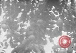 Image of Operation Junction City South Vietnam, 1967, second 42 stock footage video 65675068950
