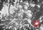 Image of Operation Junction City South Vietnam, 1967, second 44 stock footage video 65675068950