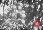 Image of Operation Junction City South Vietnam, 1967, second 45 stock footage video 65675068950
