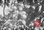 Image of Operation Junction City South Vietnam, 1967, second 46 stock footage video 65675068950
