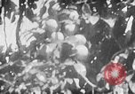 Image of Operation Junction City South Vietnam, 1967, second 47 stock footage video 65675068950